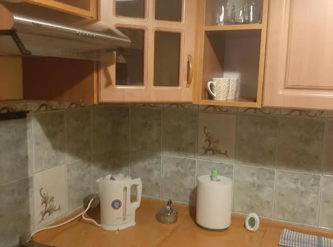 Centrum Apartment Koło